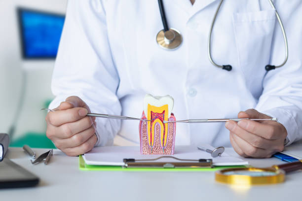 Best Emergency Treatment for Toothache in Carrizo Springs, TX